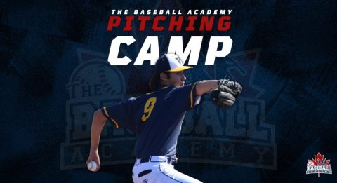 Camps - The Baseball Academy