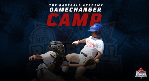 Camps - The Baseball Academy